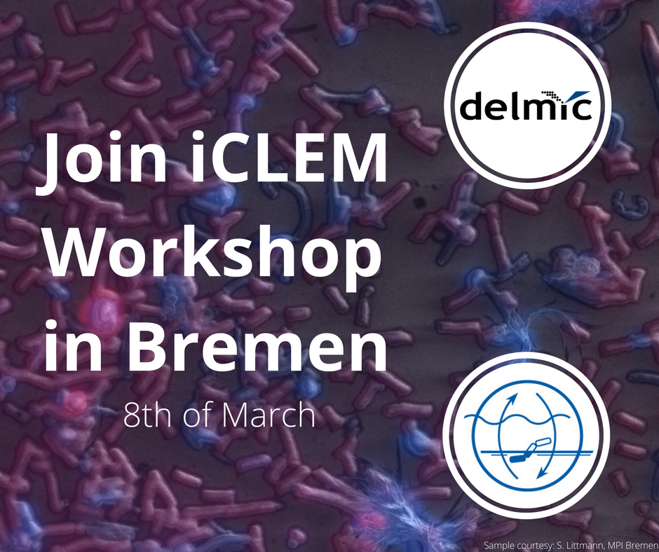 CLEM Workshop Bremen-1.png