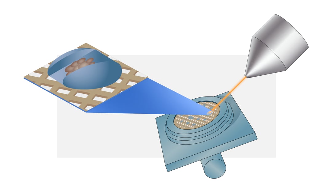 Sample preparation with cryo-FIB