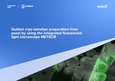 https://request.delmic.com/hubfs/METEOR_GuidedCryoLamellae_Cover.png