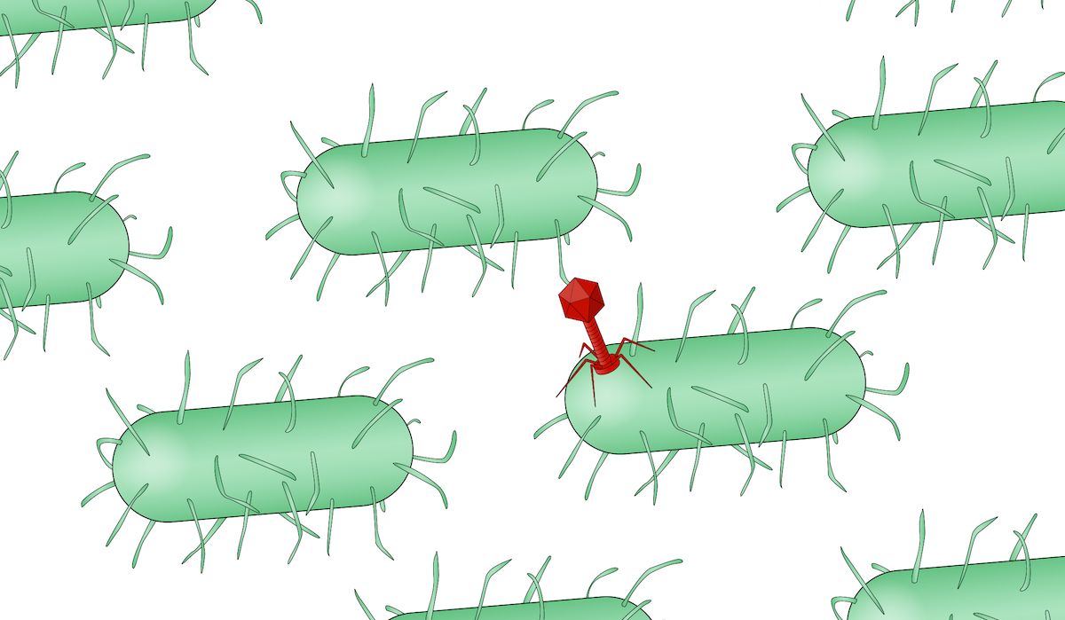 mguard cl virus spam mguard cl virus spam