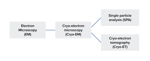 The difference between cryo-EM and cryo-ET. Cryo-ET and SPA can be seen to be a subtype of cryo-EM