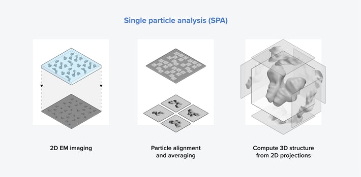 Three main steps in the single particle analysis workflow