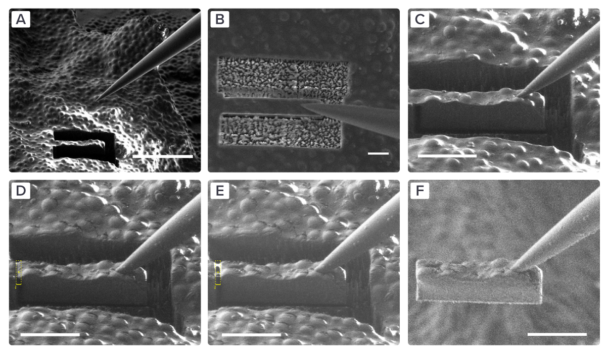 EM images of the complete process of lifting out a lamellae in six steps