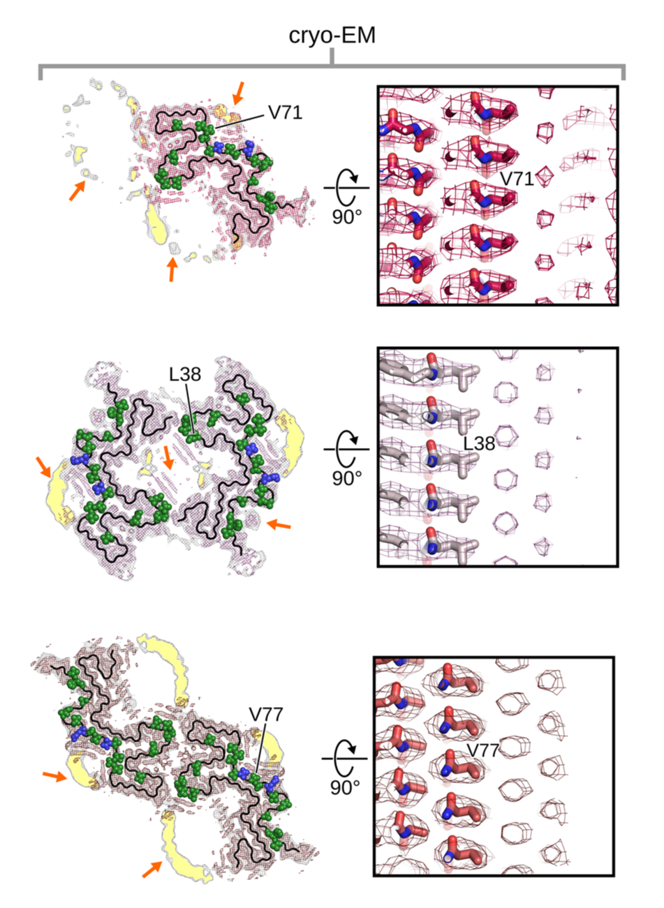 Reconstructions of three fibril variants and surrounding phospholipids using cryo-EM