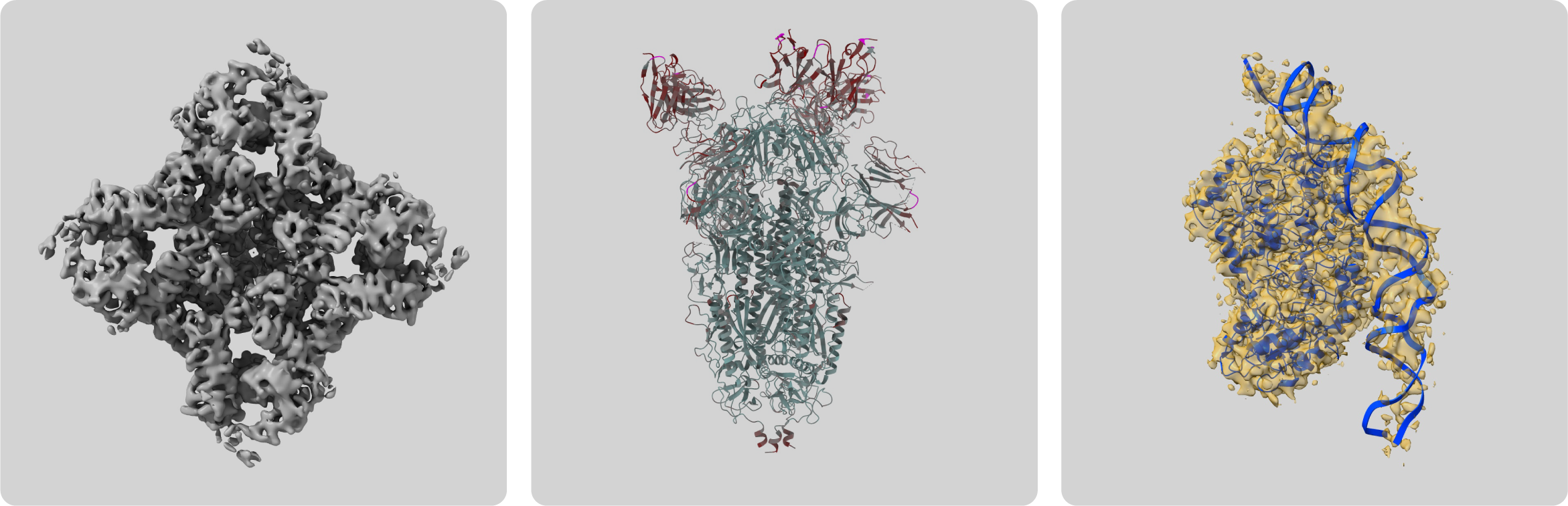 Examples of cryo-EM 3D reconstructions on the EMDB public repository