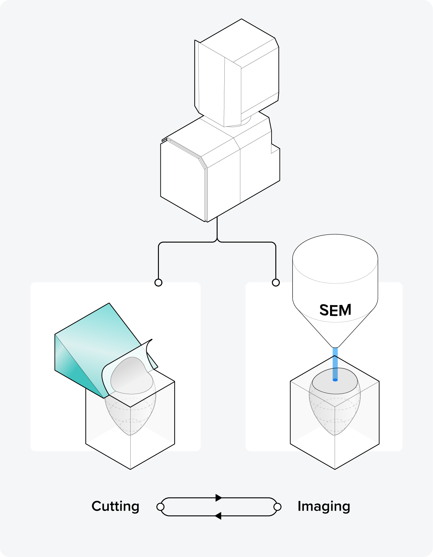 What Are The Main 3D Electron Microscopy Techniques?