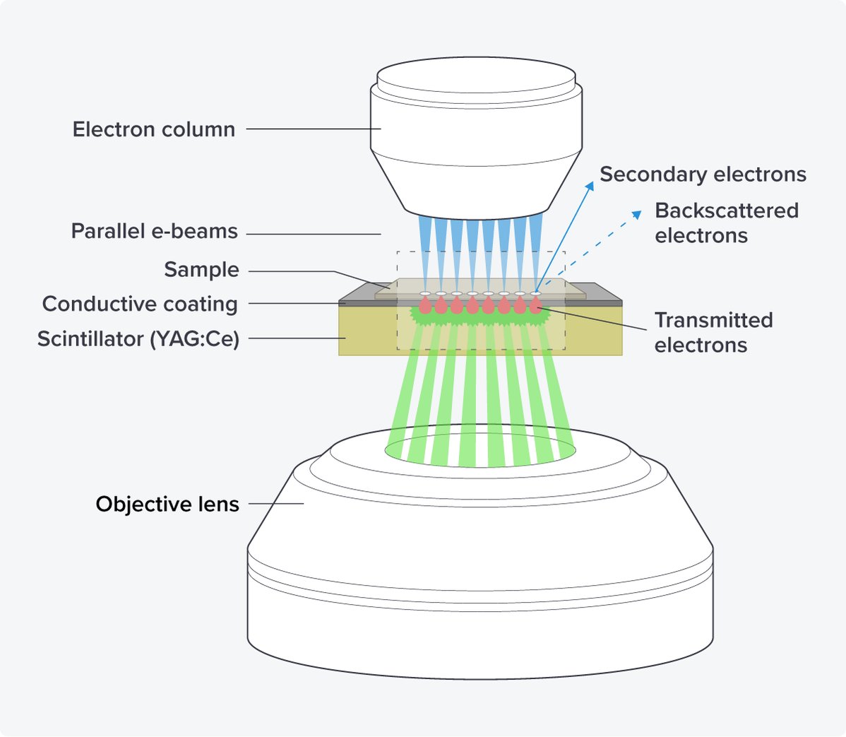 Schematics of the optical scanning transmission electron microscope (OSTEM) components of the FAST-EM.