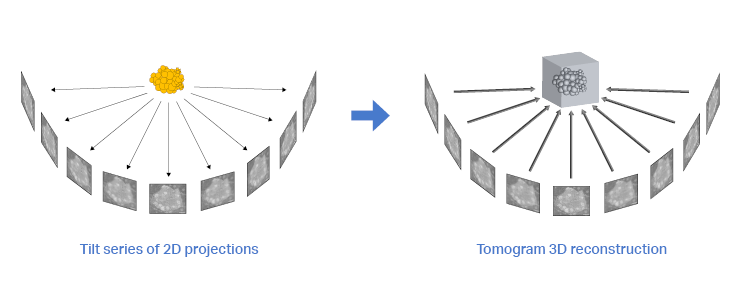 Tilt series alignment