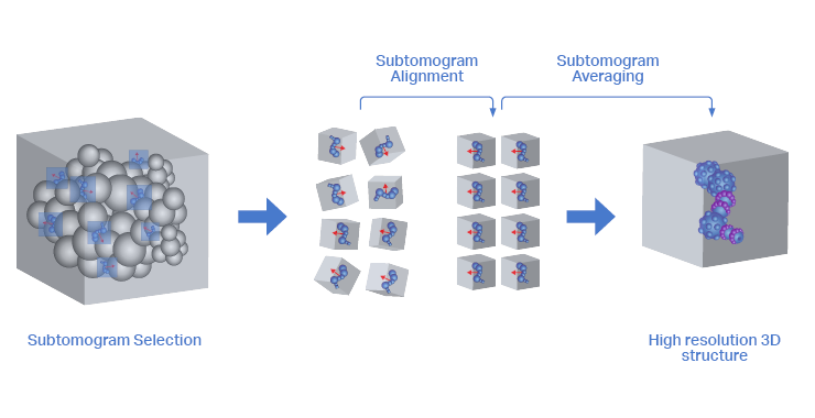 Tilt series converted into a 3D reconstruction