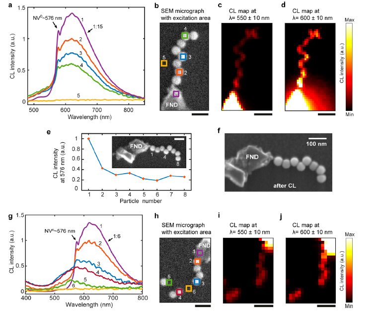 dna plasmonic waveguides cathodoluminescence imaging