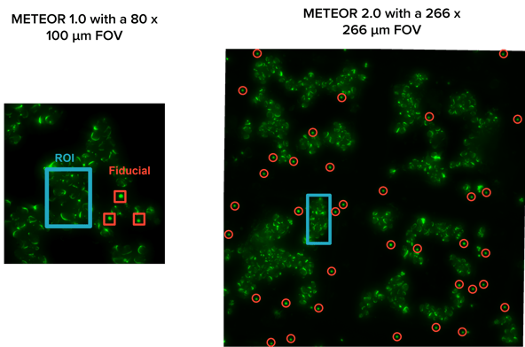 fiducial comparison-2