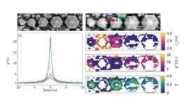 g(2) mapping data on InGaN/GaN nanorods